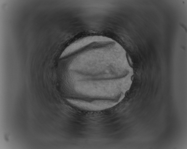 X0000093120817200710171243