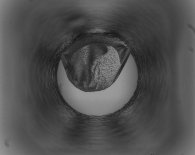 X0000093120818200710171244