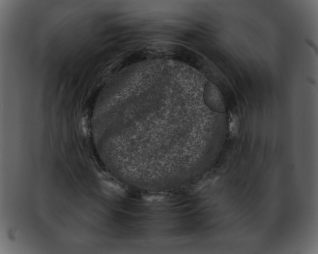 X0000093120819200710171244