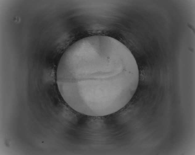 X0000093120820200710171244