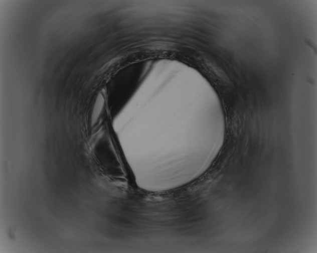 X0000093120821200710171244