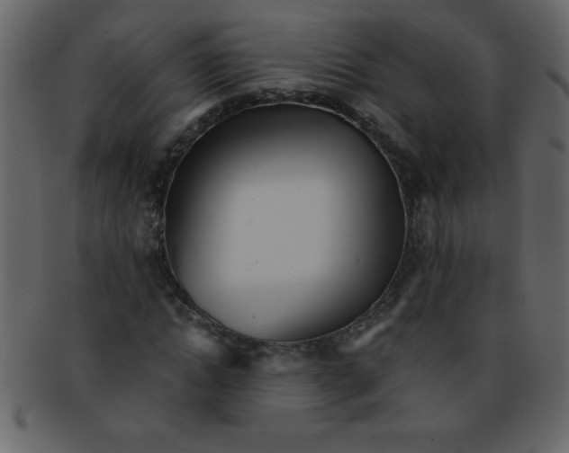 X0000093120822200710171244