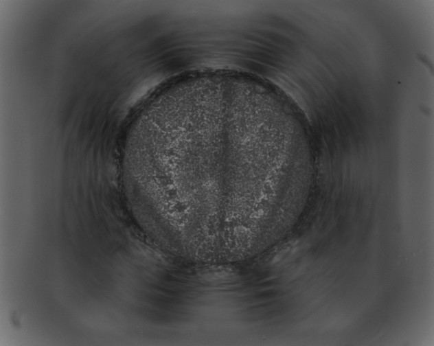 X0000093120823200710171244