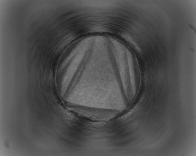 X0000093120825200710171244