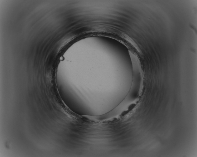 X0000093120826200710171244