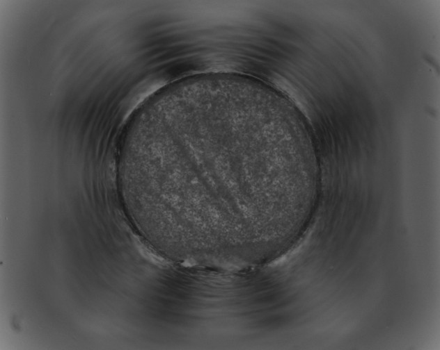 X0000093120827200710171244