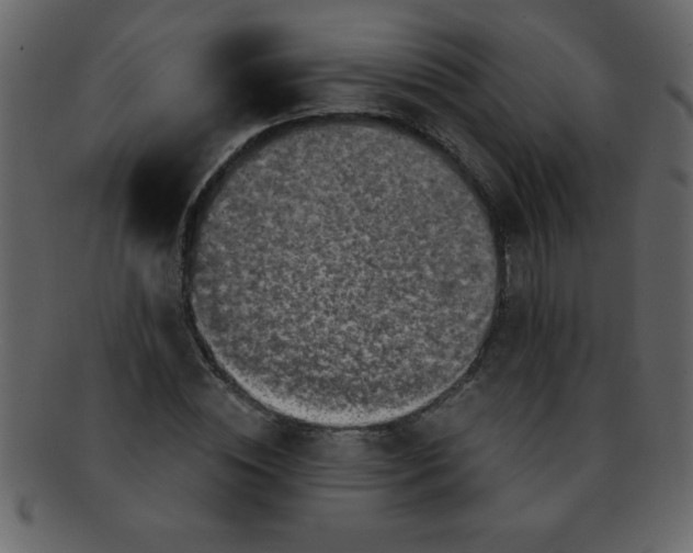 X0000093120828200710171244