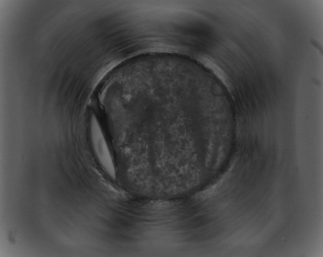 X0000093120829200710171244