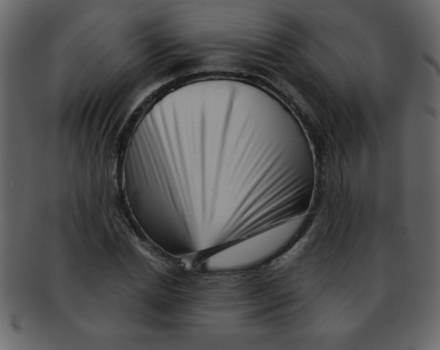 X0000093120830200710171244