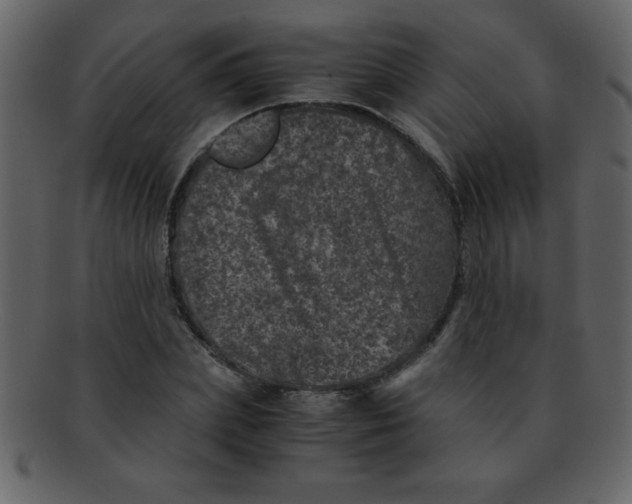 X0000093120831200710171244