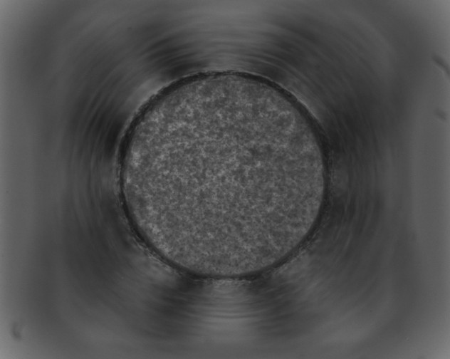 X0000093120832200710171244