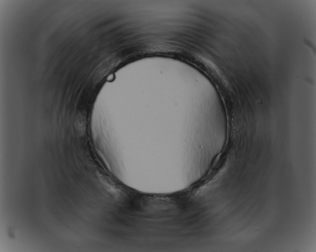 X0000093120833200710171244