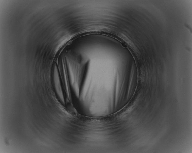 X0000093120834200710171244