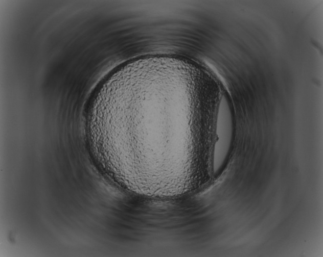 X0000093120835200710171244