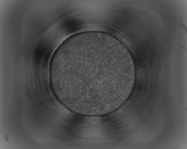 X0000093120836200710171244