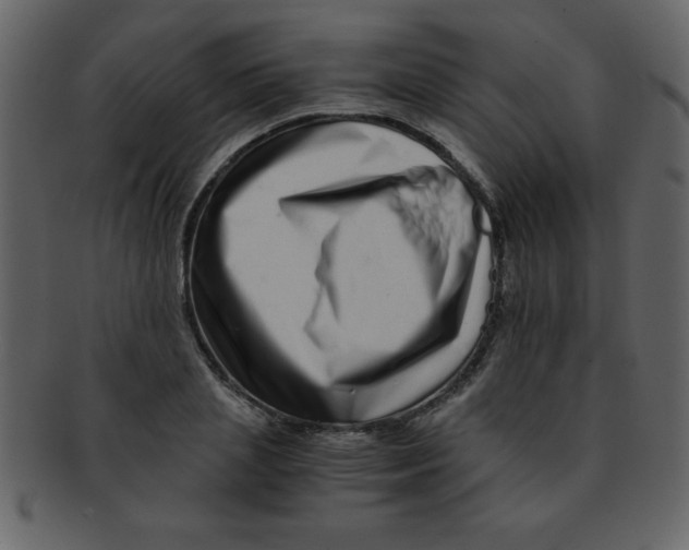 X0000093120837200710171244