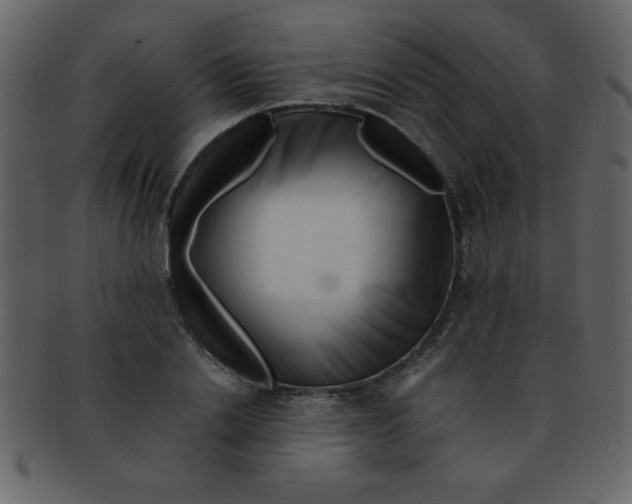 X0000093120838200710171244