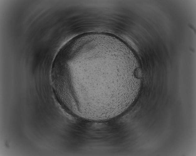 X0000093120839200710171244