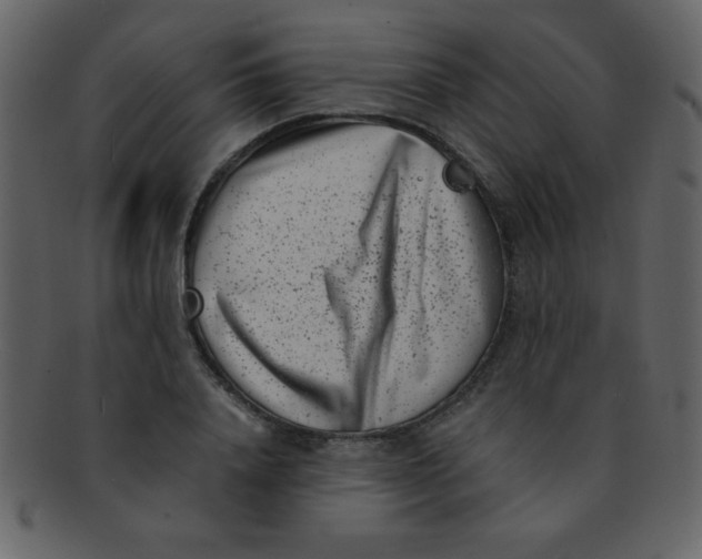 X0000093120840200710171244