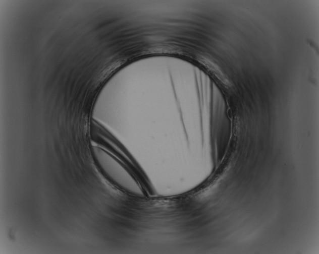 X0000093120841200710171244