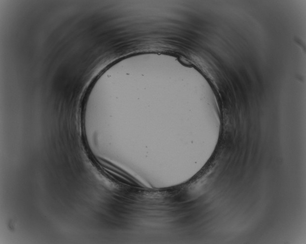 X0000093120843200710171244