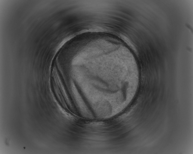 X0000093120845200710171244