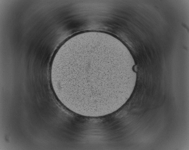 X0000093120848200710171244