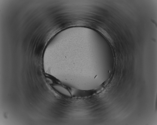 X0000093120850200710171244