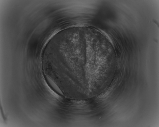 X0000093120851200710171244