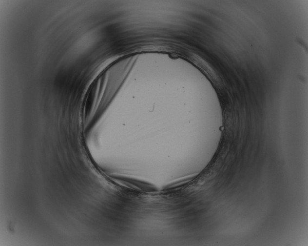 X0000093120852200710171244