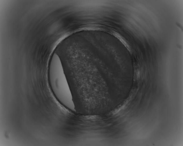 X0000093120853200710171244