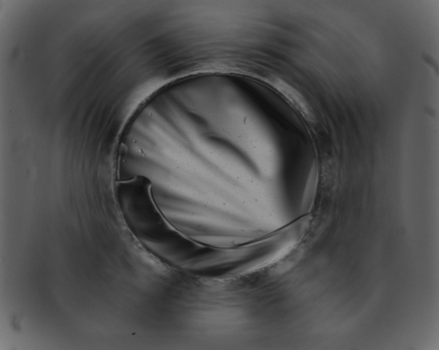 X0000093120854200710171244