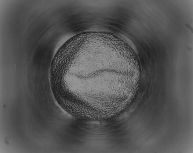 X0000093120855200710171244