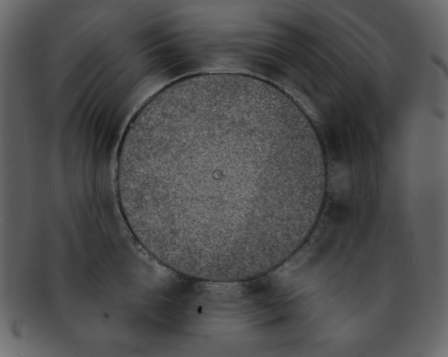 X0000093120856200710171244