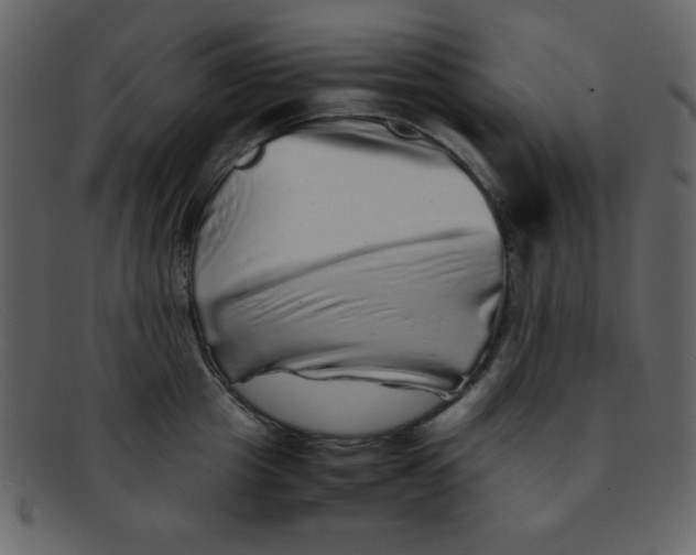 X0000093120857200710171244