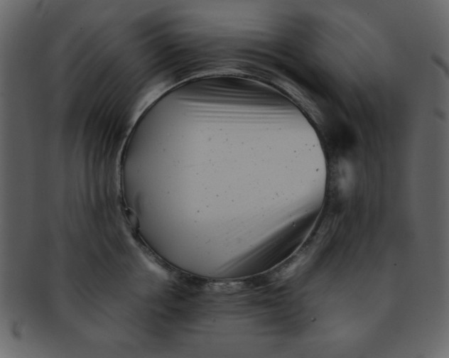 X0000093120858200710171244