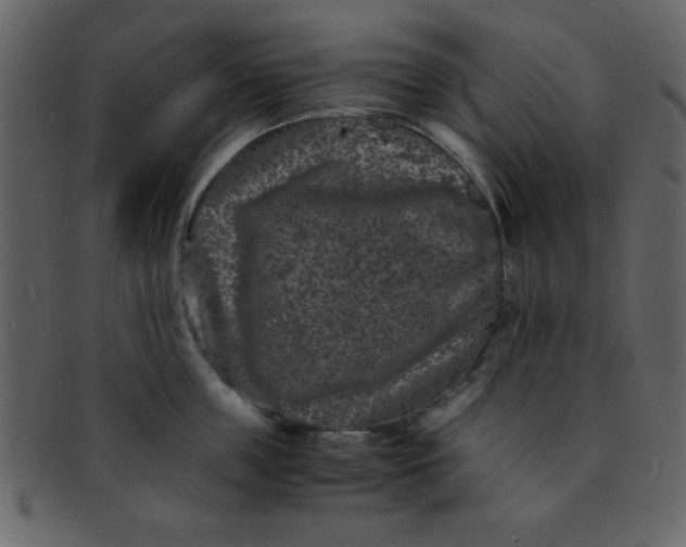 X0000093120859200710171244