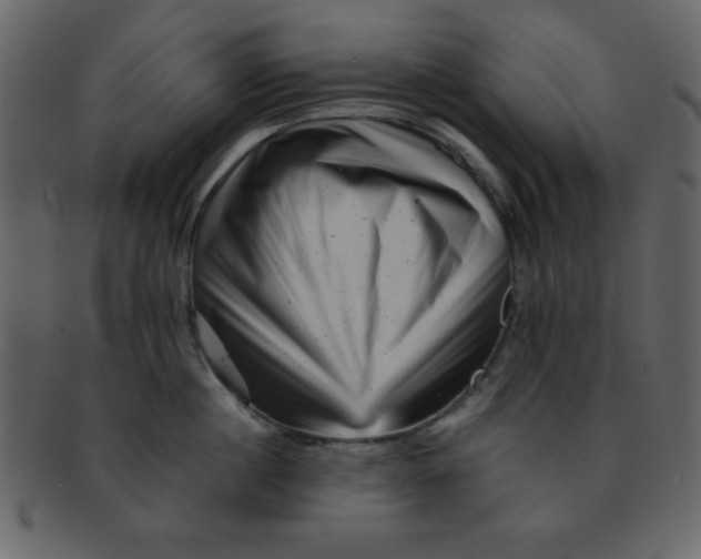 X0000093120860200710171244