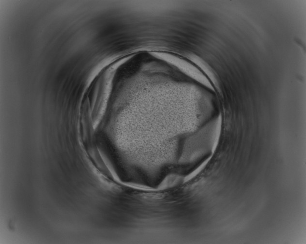 X0000093120861200710171244