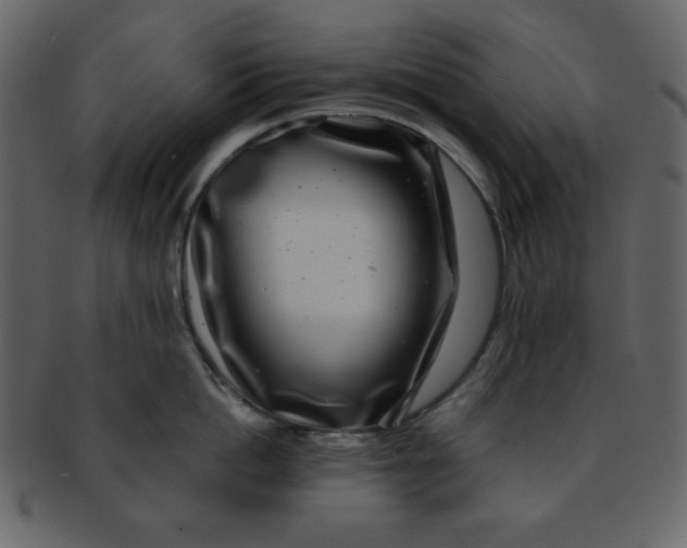 X0000093120862200710171244