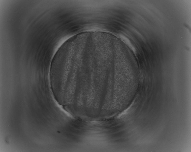 X0000093120863200710171244