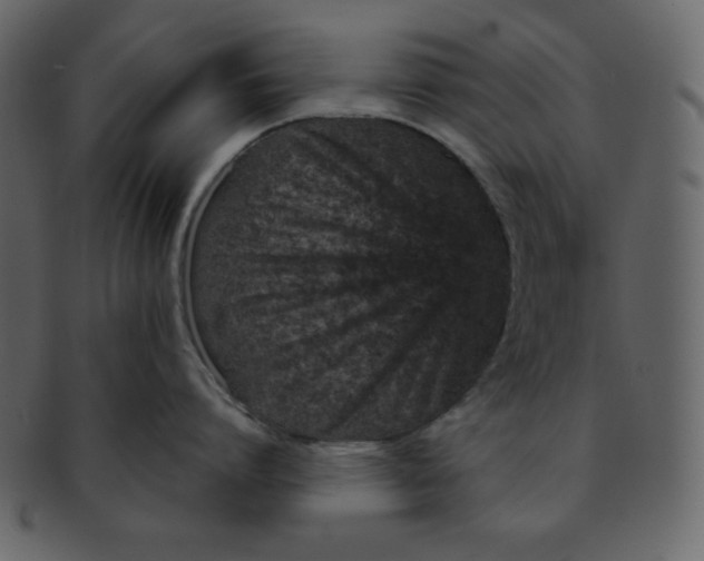 X0000093120864200710171244