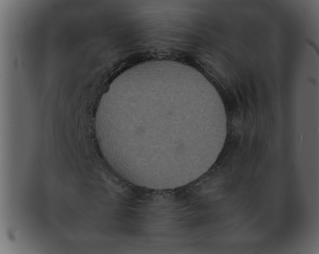 X0000093120865200710171243