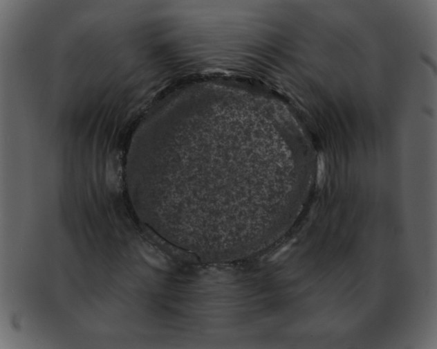 X0000093120868200710171243