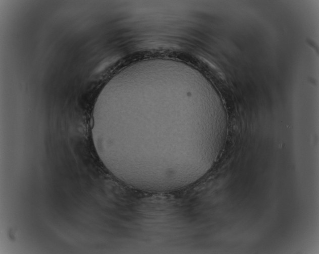 X0000093120869200710171243