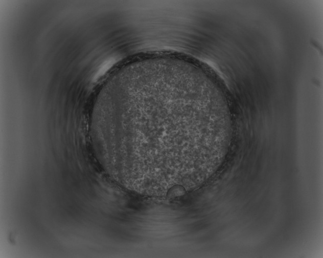 X0000093120871200710171243