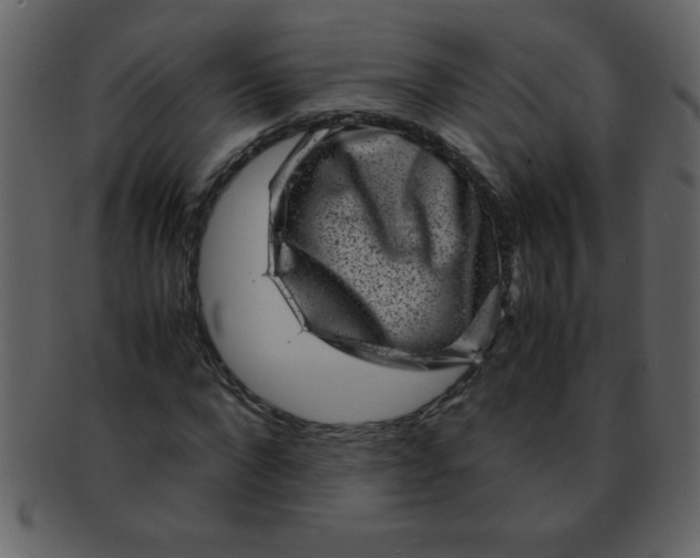 X0000093120872200710171243