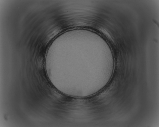 X0000093120873200710171243