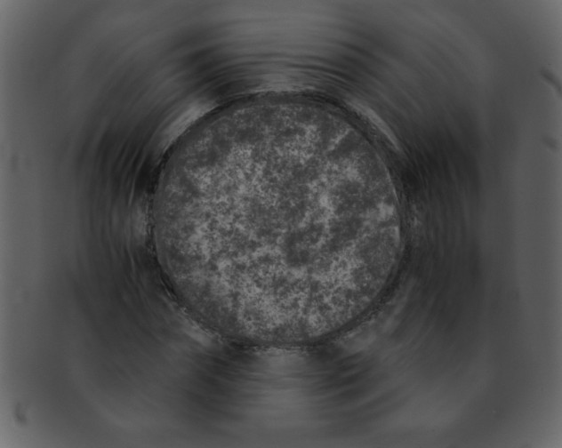 X0000093120874200710171243