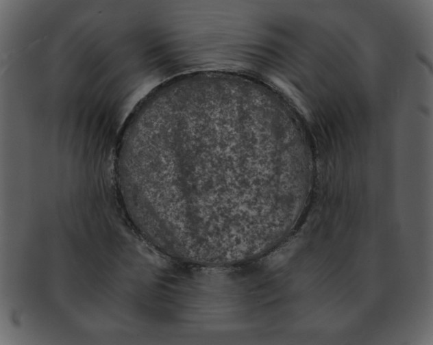 X0000093120875200710171243